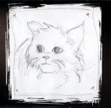 Katzenkopf, Zeichnung von Alanna Robelia