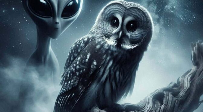 Mike Clelland und seine Erlebnisse mit Eulen, UFOs und Synchronizitäten